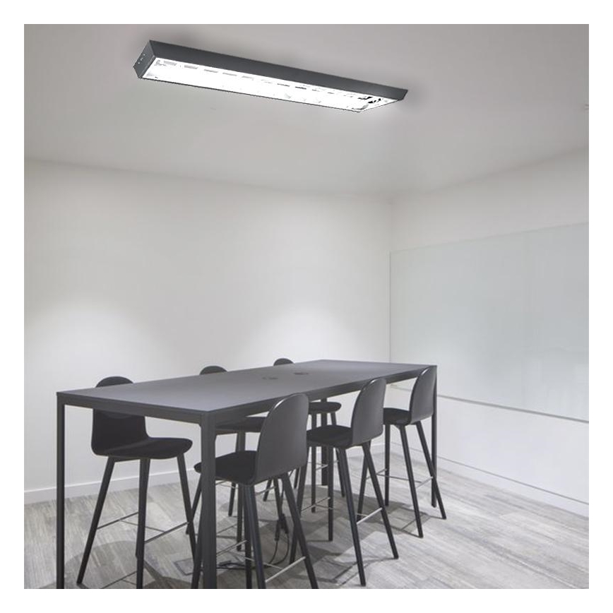 Fluorescenčna svetilka T8 2xG13/18W/230V 120 cm črna