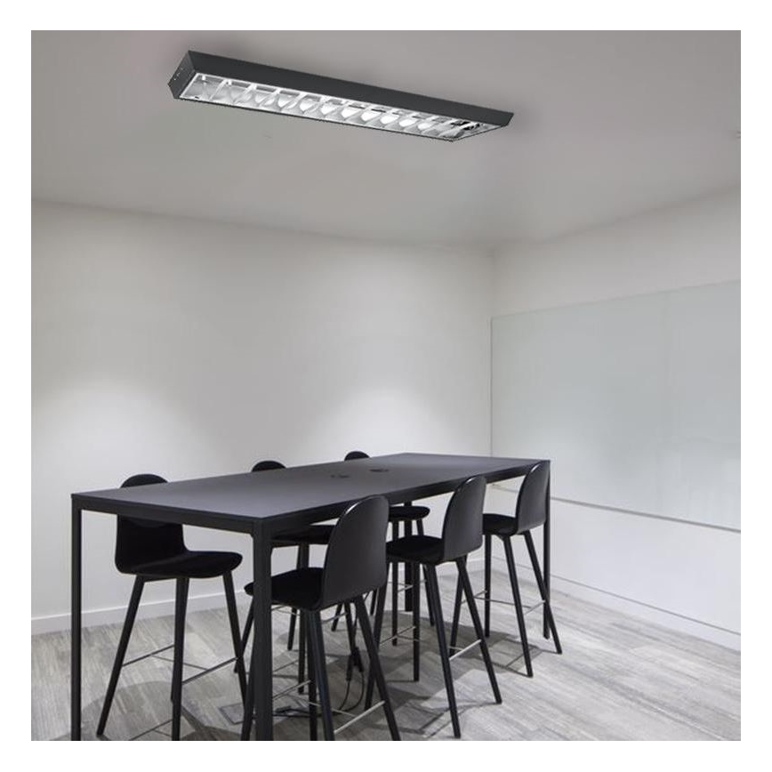 Fluorescenčna svetilka T8 2xG13/18W/230V 120 cm črna