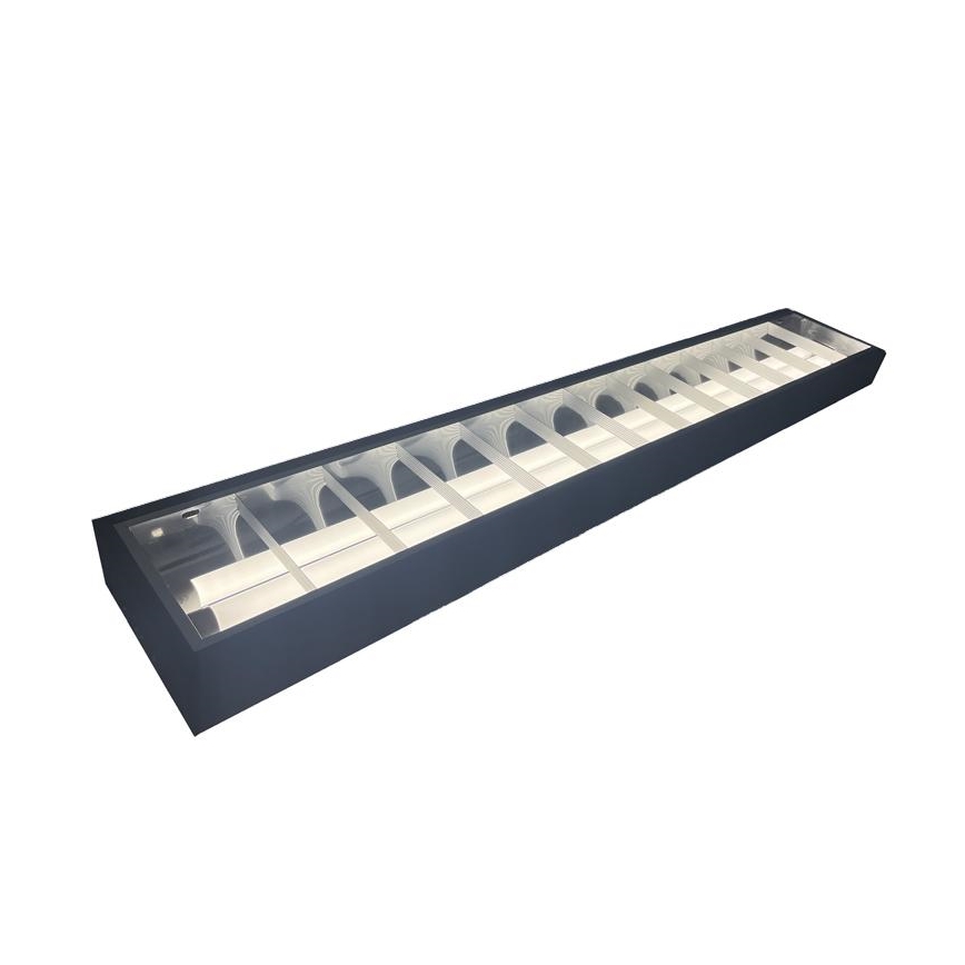 Fluorescenčna svetilka T8 2xG13/18W/230V 120 cm črna