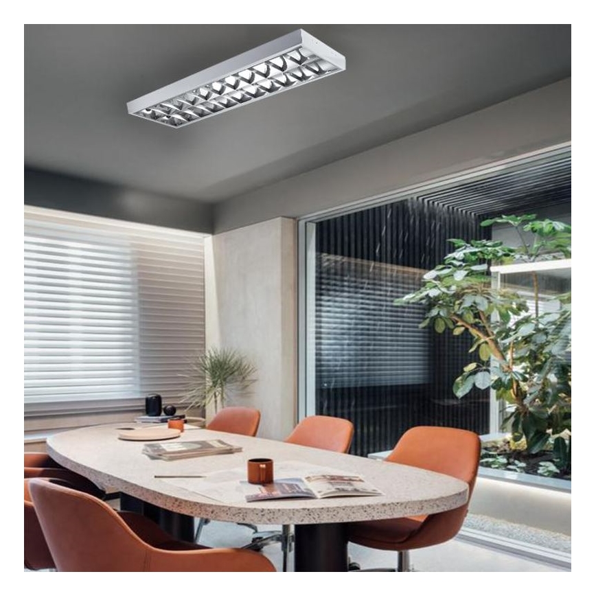 Fluorescenčna svetilka T8 2xG13/18W/230V 120 cm