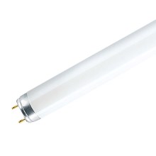 Fluorescentna cev G13/18W/230V 6500K 60 cm