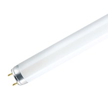 Fluorescentna cev G13/58W/230V 6500K 150 cm