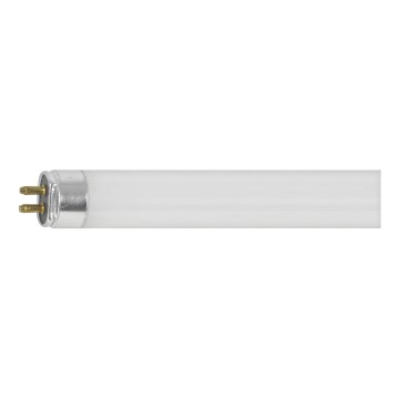 Fluorescentna cev T5 G5/54W/230V - Eglo 10662 116,5 cm