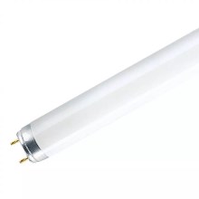 Fluorescentna cev T8 G13/18W/230V 6500K 60 cm