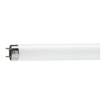 Fluorescentna cev T8 G13/36W/103V 7500K 120 cm
