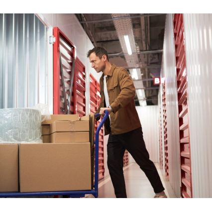 Fluorescentno svetilo T8 DELFIA 2xG13/18W/230V 124 cm belo