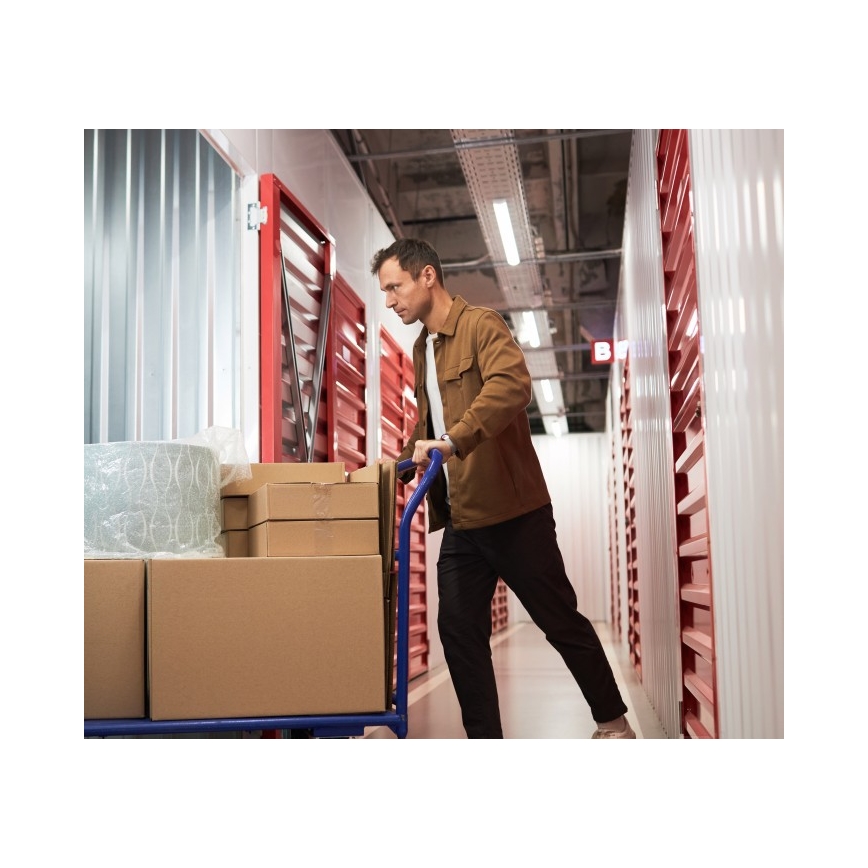 Fluorescentno svetilo T8 DELFIA 2xG13/18W/230V 124 cm belo