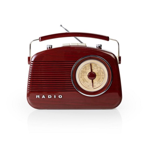 FM Radio 4,5W/230V rjav