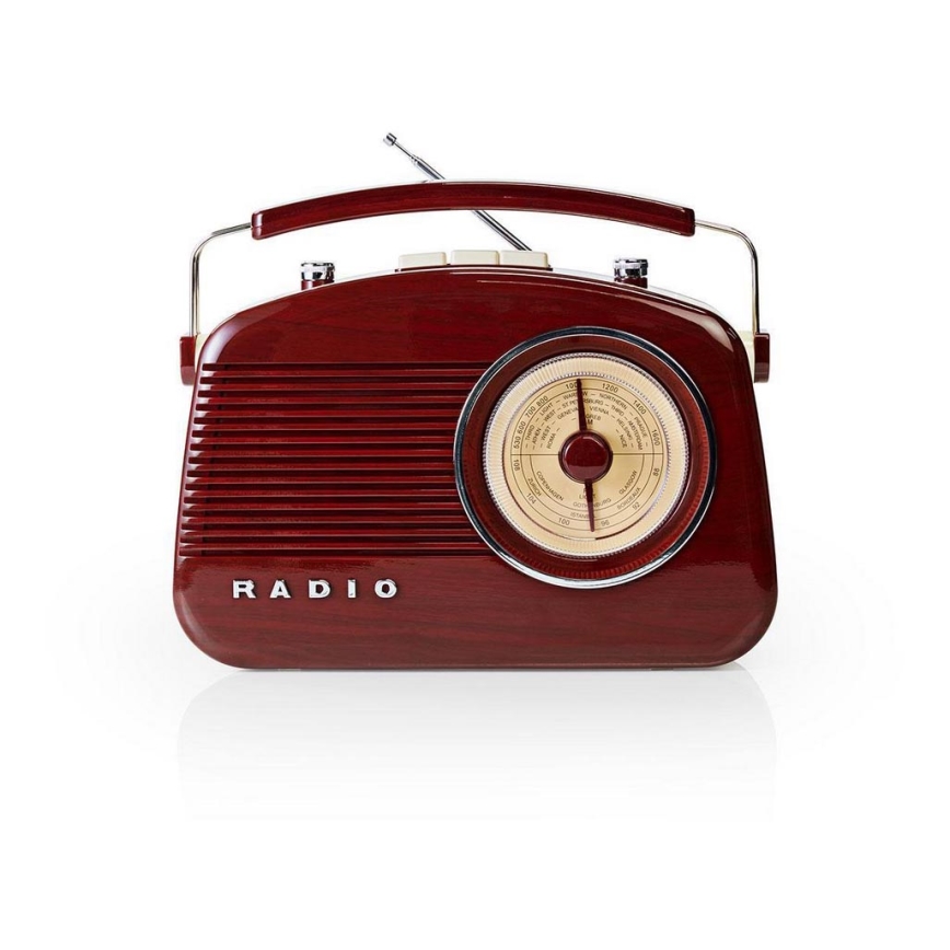 FM Radio 4,5W/230V rjav