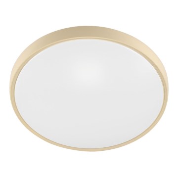 Fulgur 27480 - Okvir z difuzorjem za stropno svetilko VERA 420 GOLD