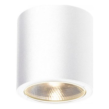 Gardino LX2236-COB - LED Zunanji reflektor LAVANDA LED/7W/230V IP54