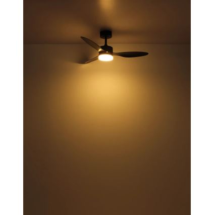 Globo - LED Zatemnitveni stropni ventilator LED/20W/230V 2700-6500K + Daljinski upravljalnik