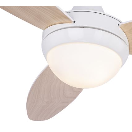 Globo - Stropni ventilator 2xE14/40W/230V + daljinski upravljalnik