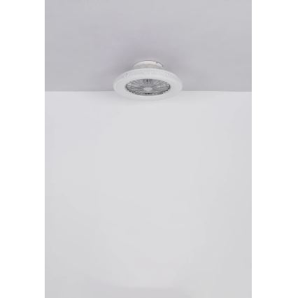 Globo - LED Zatemnitveni stropni ventilator LED/40W/230V 3000-6500K + Daljinski upravljalnik