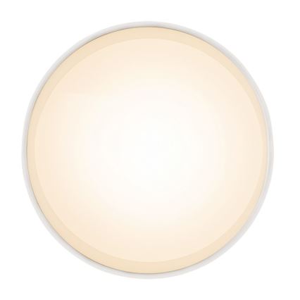 Globo 12015W - LED Stropna svetilka JENNY LED/8W/230V