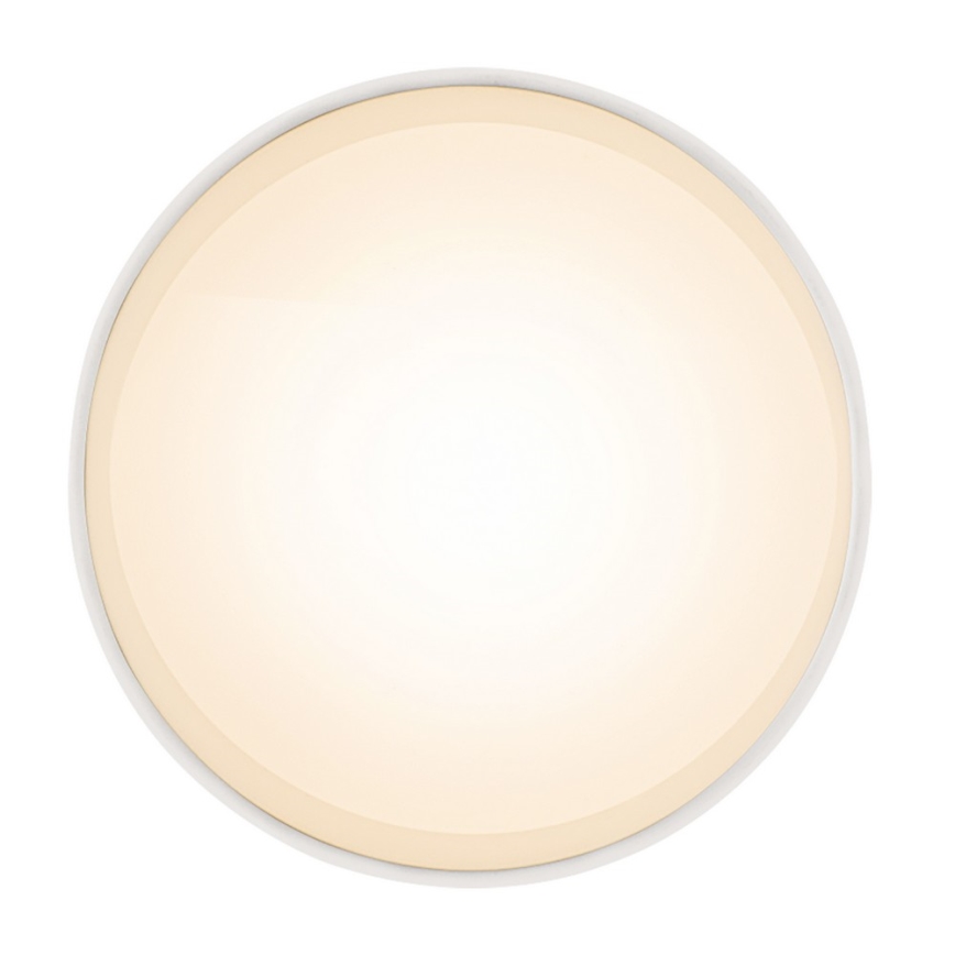 Globo 12015W - LED Stropna svetilka JENNY LED/8W/230V