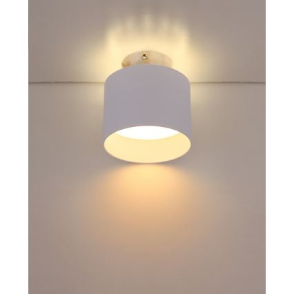 Globo 12015W - LED Stropna svetilka JENNY LED/8W/230V