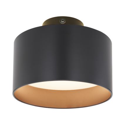 Globo - LED Stropna svetilka LED/16W/230V