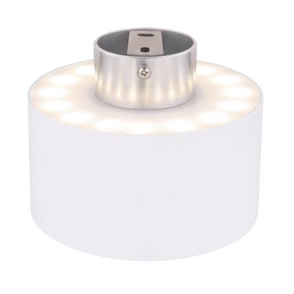 Globo 12016W - LED Stropna svetilka JENNY LED/16W/230V