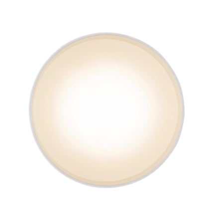 Globo 12016W - LED Stropna svetilka JENNY LED/16W/230V