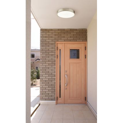 Globo - Zatemnjevalno LED stropno svetilo LED/22W/230V