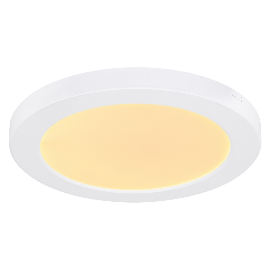 Globo - LED Stropna svetilka LED/18W/230V 3000/4000/6500K bela