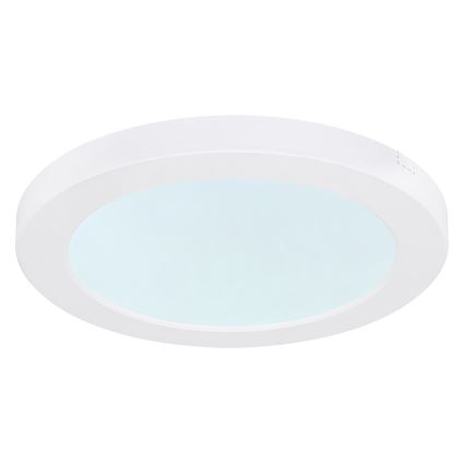 Globo - LED Stropna svetilka LED/18W/230V 3000/4000/6500K bela