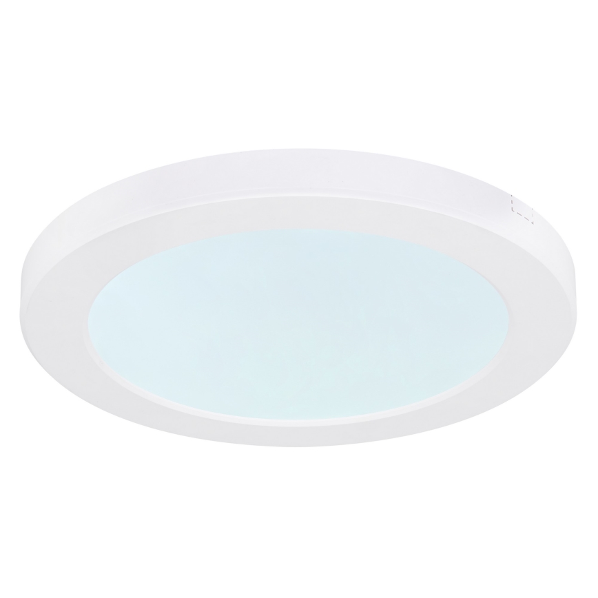 Globo - LED Stropna svetilka LED/18W/230V 3000/4000/6500K bela