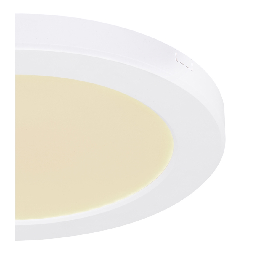 Globo - LED Stropna svetilka LED/18W/230V 3000/4000/6500K bela
