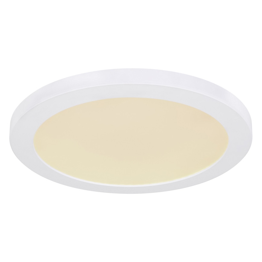 Globo - LED Stropna svetilka LED/24W/230V 3000/4000/6500K bela