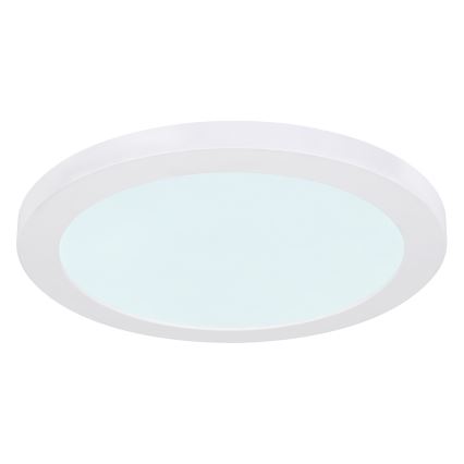 Globo - LED Stropna svetilka LED/24W/230V 3000/4000/6500K bela