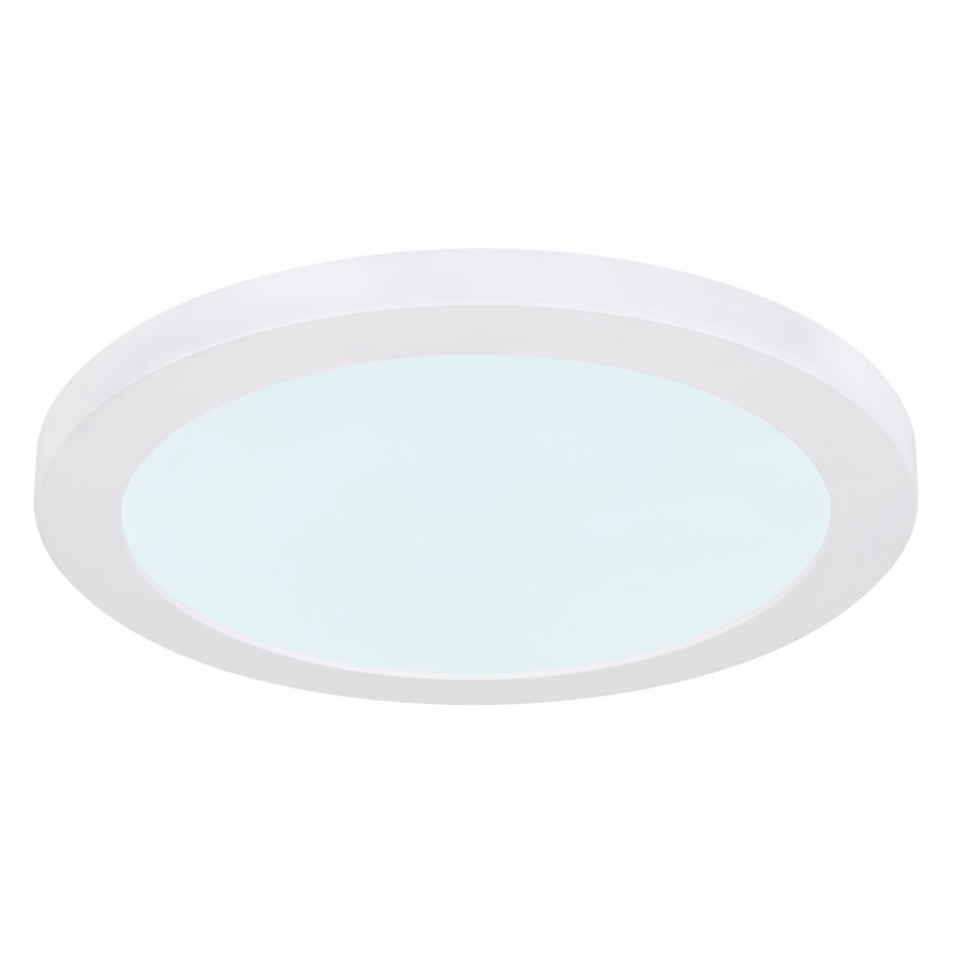 Globo - LED Stropna svetilka LED/24W/230V 3000/4000/6500K bela
