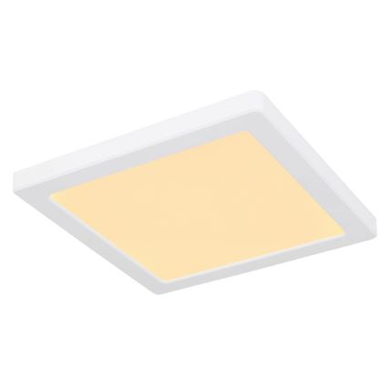 Globo - LED Stropna svetilka LED/18W/230V 3000/4000/6500K bela