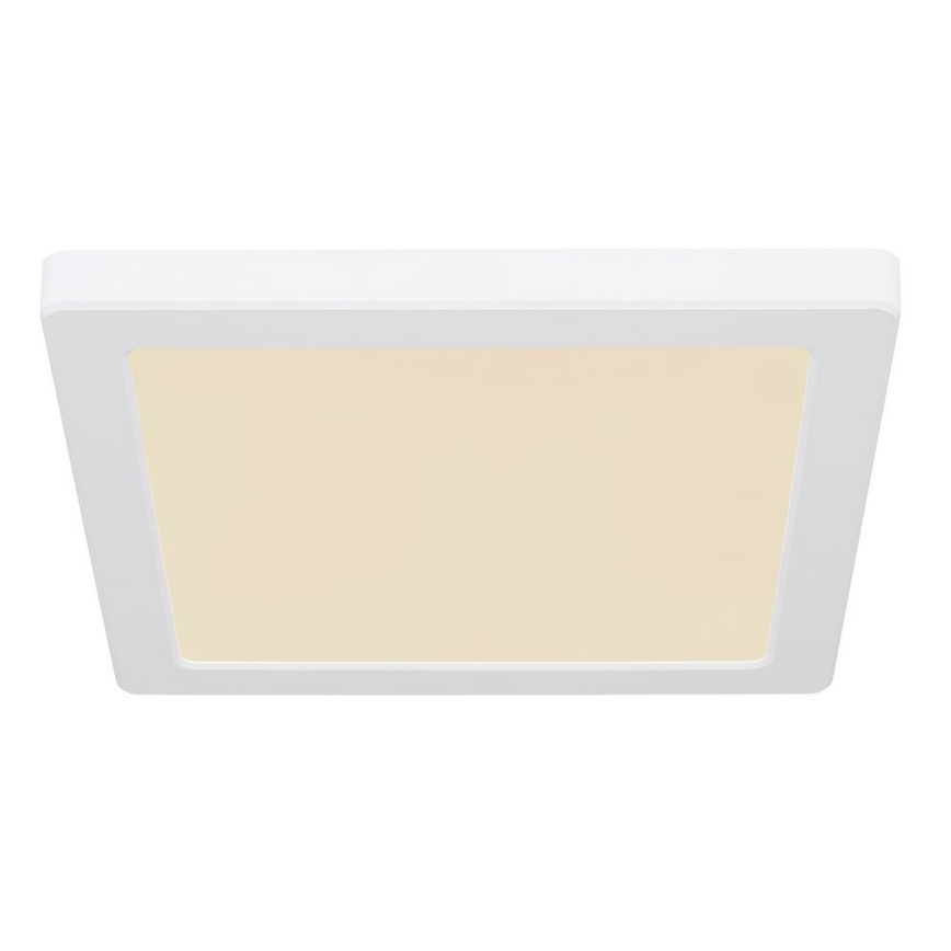 Globo - LED Stropna svetilka LED/18W/230V 3000/4000/6500K bela