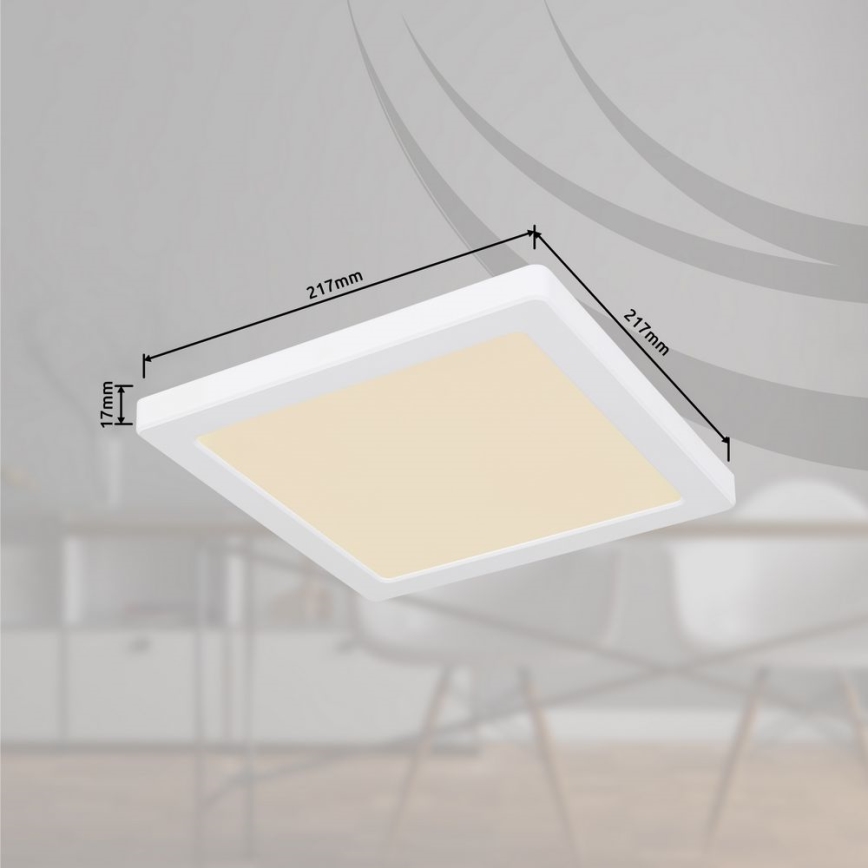 Globo - LED Stropna svetilka LED/18W/230V 3000/4000/6500K bela