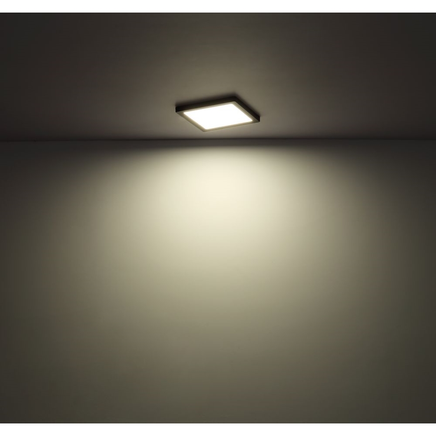 Globo - LED Stropna svetilka LED/24W/230V 3000/4000/6500K črna
