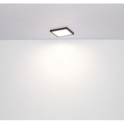 Globo - LED Stropna svetilka LED/24W/230V 3000/4000/6500K črna