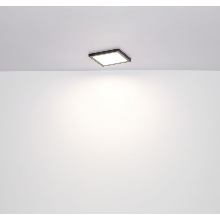 Globo - LED Stropna svetilka LED/24W/230V 3000/4000/6500K črna