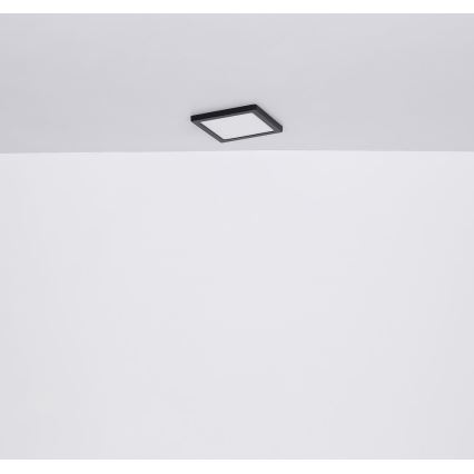 Globo - LED Stropna svetilka LED/24W/230V 3000/4000/6500K črna