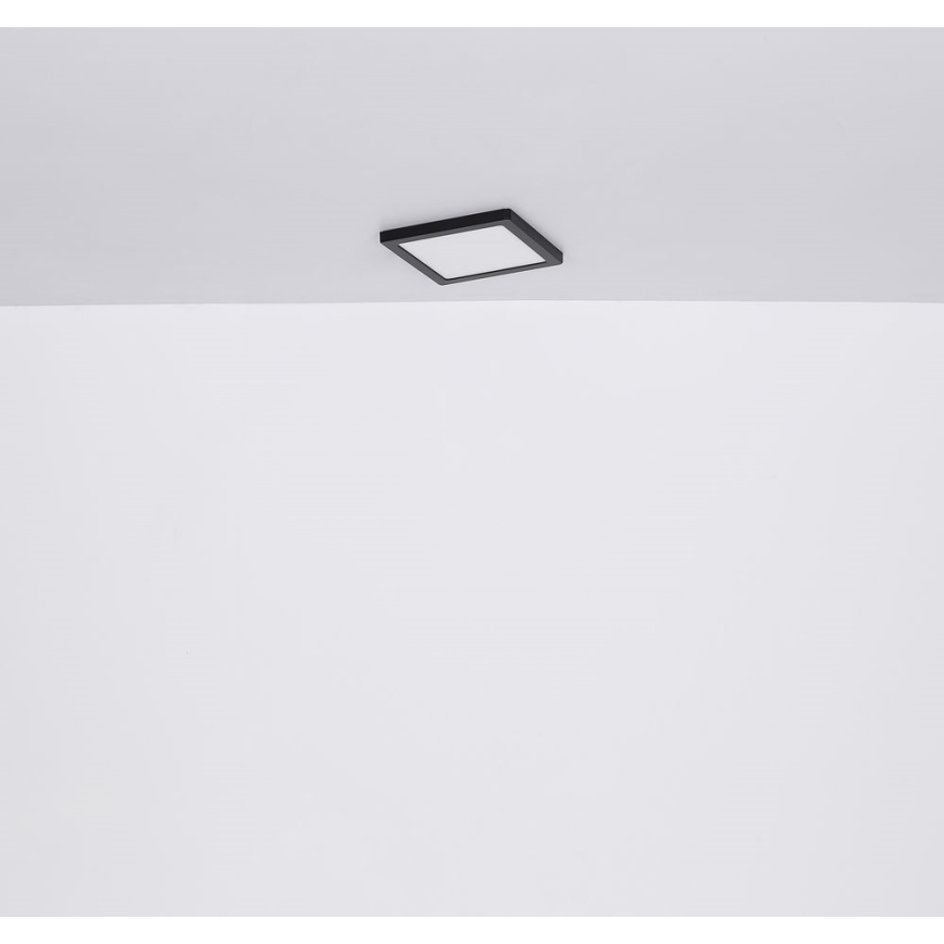 Globo - LED Stropna svetilka LED/24W/230V 3000/4000/6500K črna