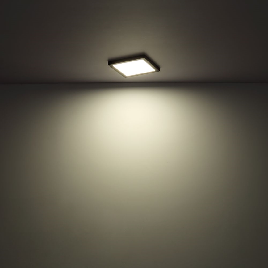 Globo - LED Stropna svetilka LED/24W/230V 3000/4000/6500K bela