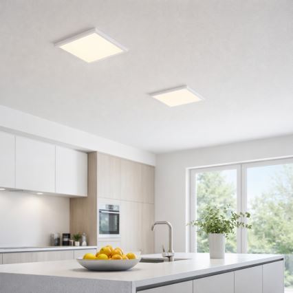 Globo - LED Stropna svetilka LED/24W/230V 3000/4000/6500K bela