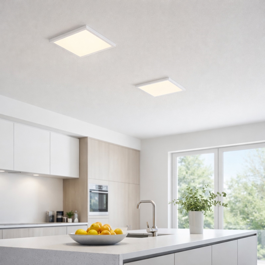 Globo - LED Stropna svetilka LED/24W/230V 3000/4000/6500K bela