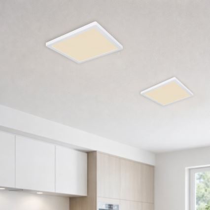 Globo - LED Stropna svetilka LED/24W/230V 3000/4000/6500K bela