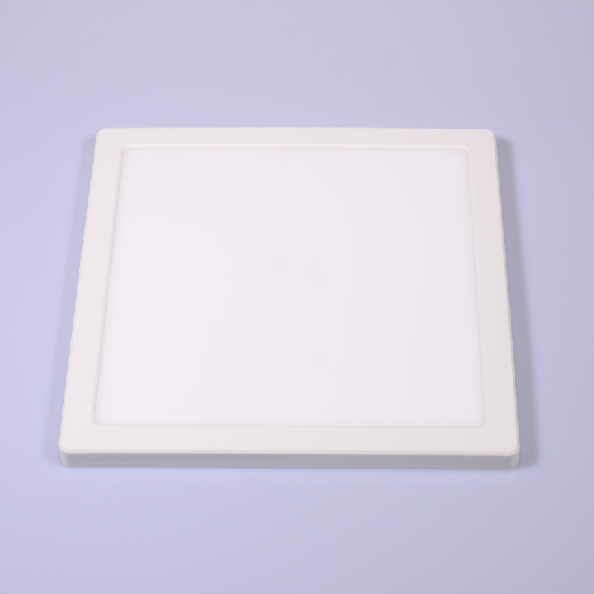 Globo - LED Stropna svetilka LED/24W/230V 3000/4000/6500K bela