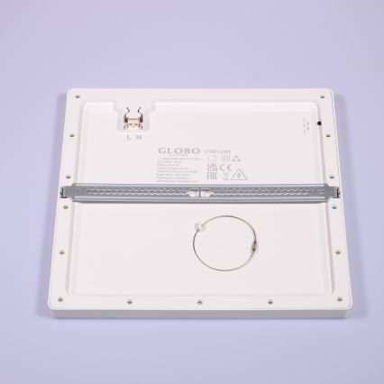 Globo - LED Stropna svetilka LED/24W/230V 3000/4000/6500K bela
