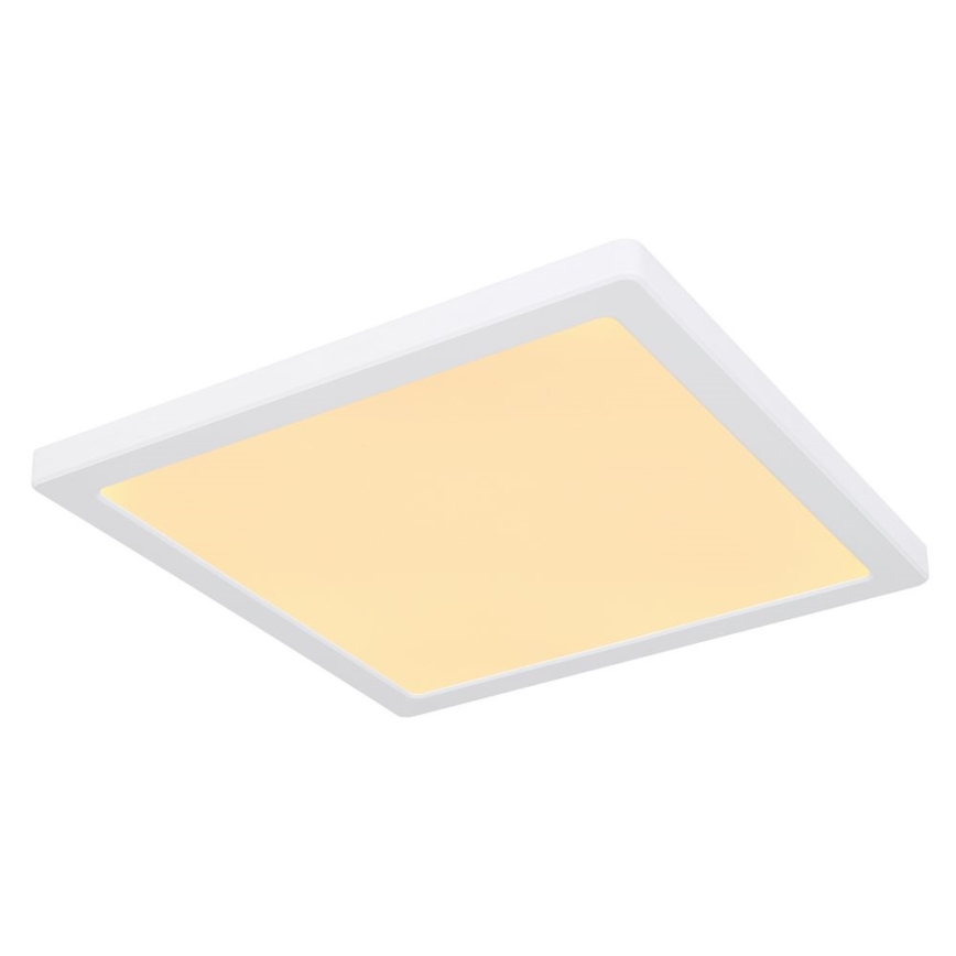 Globo - LED Stropna svetilka LED/24W/230V 3000/4000/6500K bela