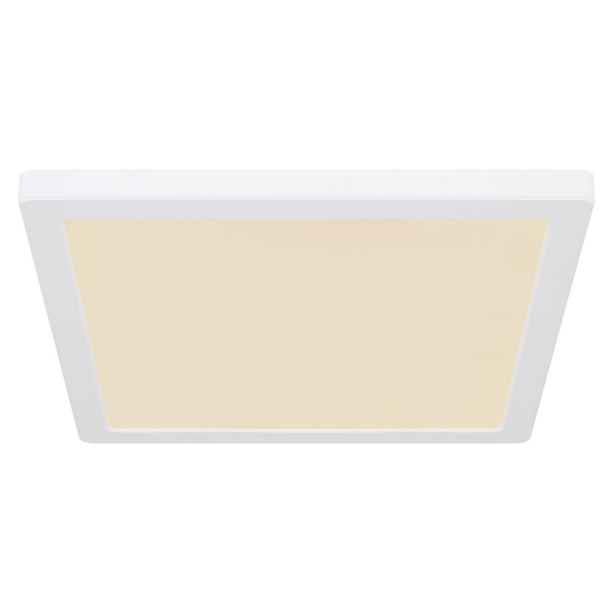 Globo - LED Stropna svetilka LED/24W/230V 3000/4000/6500K bela