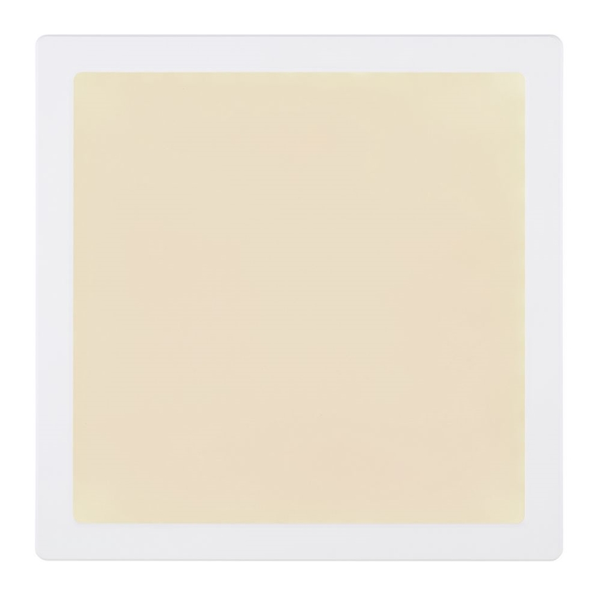 Globo - LED Stropna svetilka LED/24W/230V 3000/4000/6500K bela