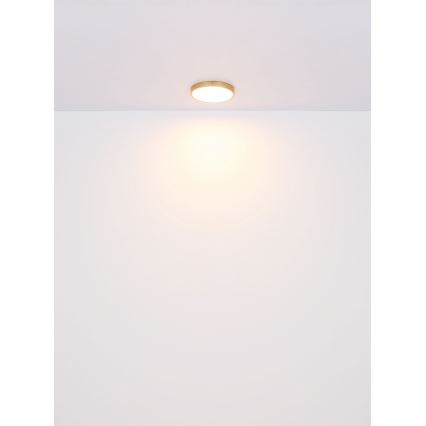 Globo - LED Stropna svetilka LED/15W/230V pr. 25 cm